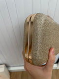 Paradox Gold Sparkly Bag