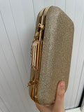 Paradox Gold Sparkly Bag